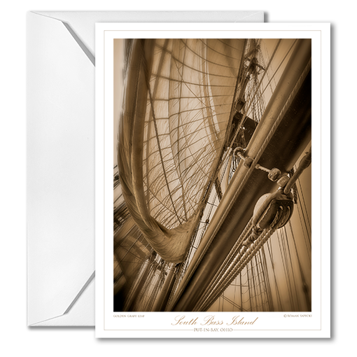 Pulley and Sheer