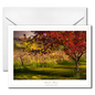 Middle Bass Island note cards