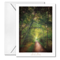 Woodland trail